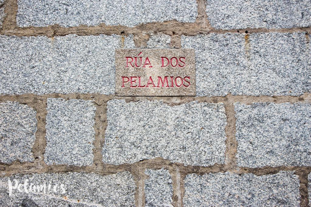 Pelamios House Apartment ซานติอาโก เด กอมโปสเตลา ภายนอก รูปภาพ